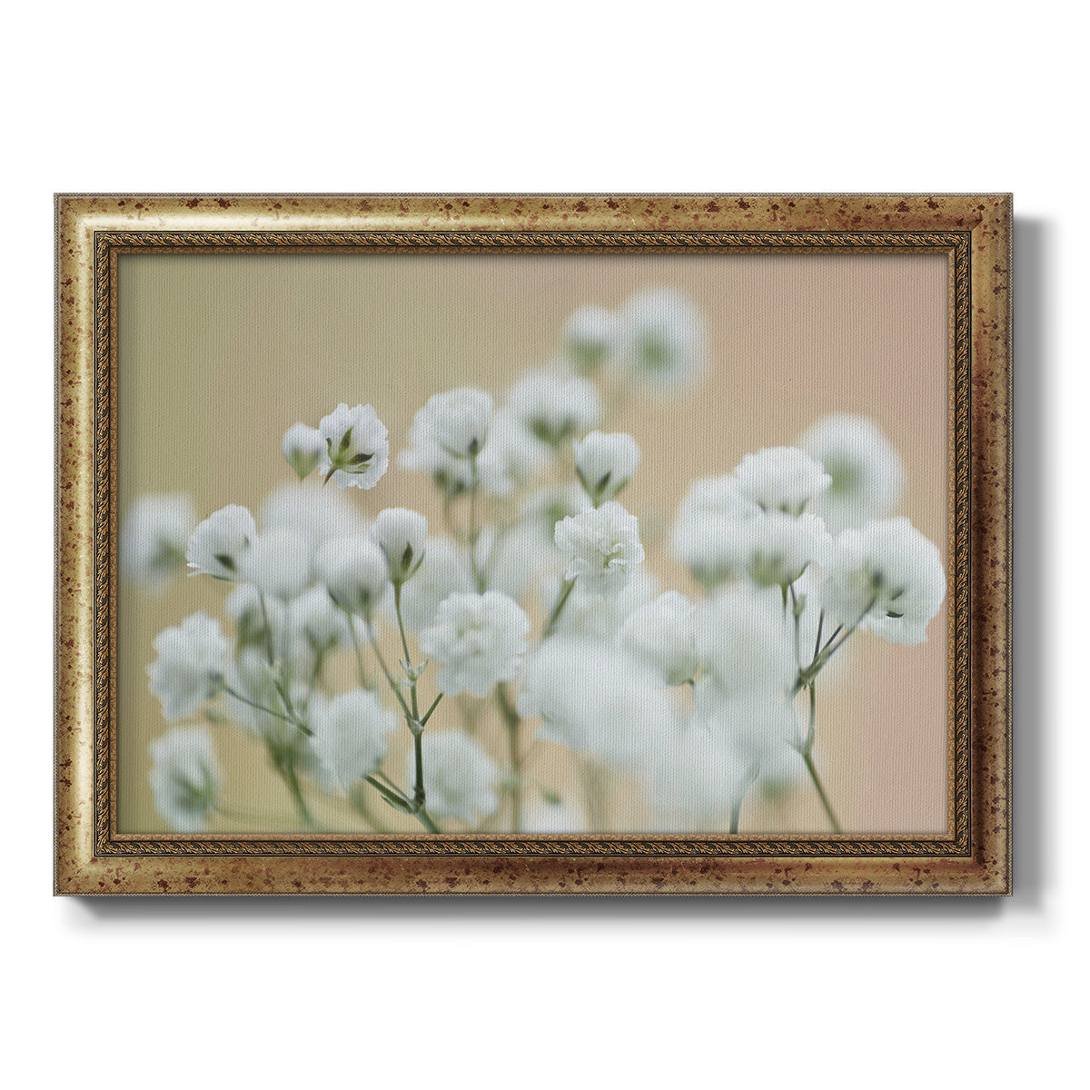 Baby's Breath Study II Premium Framed Canvas- Ready to Hang