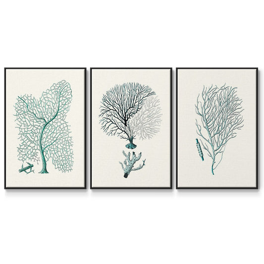 Antique Coastal Coral I - Floater Framed Canvas Set