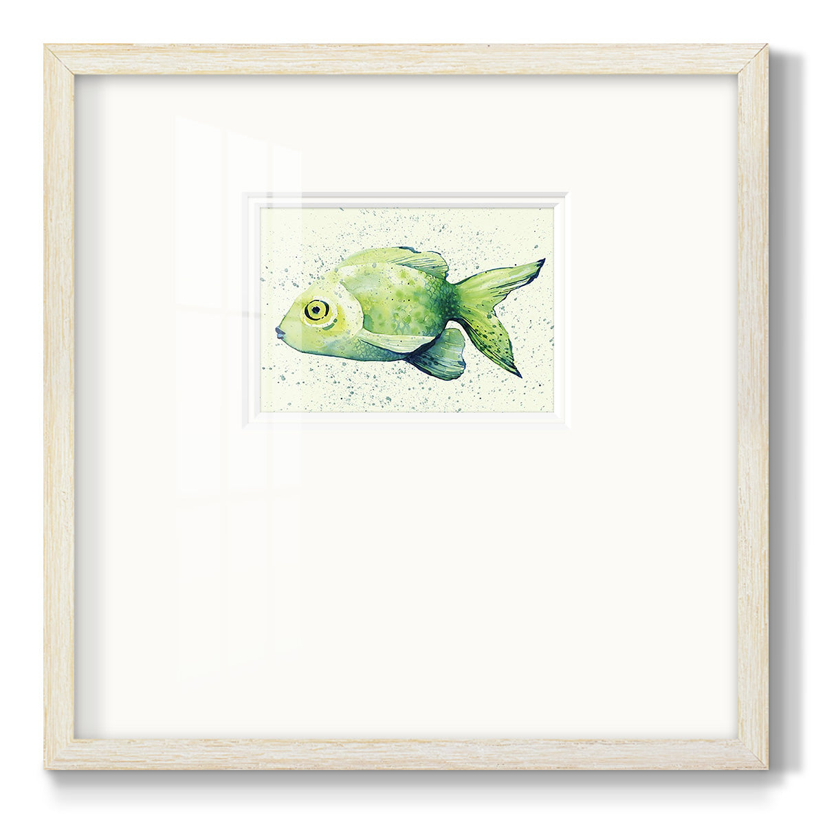 Speckled Freshwater Fish I Premium Framed Print Double Matboard