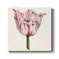 Tulip Garden I - Canvas Art Print