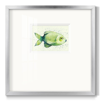 Speckled Freshwater Fish II - Double Matboard Framed Print