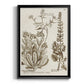 Sepia Botanical Journal IV - Modern Framed Canvas Print