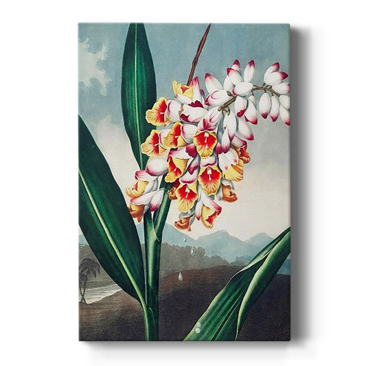 Temple of Flora VII - Canvas Art Print