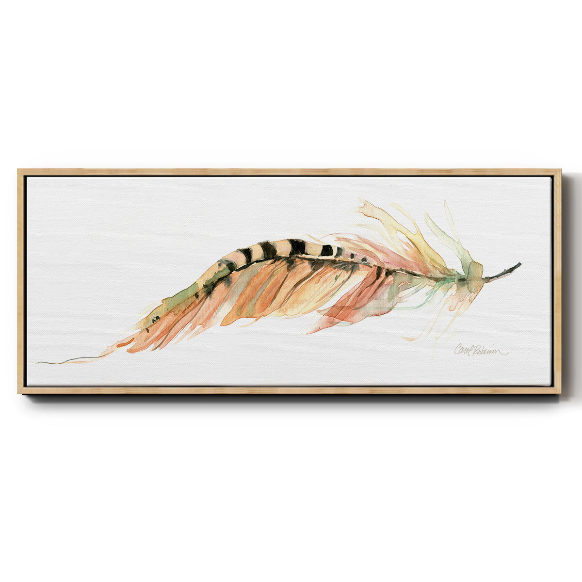 Tail Feather IV - Floater Framed Canvas Print