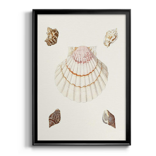 Pastel Knorr Shells IV - Modern Framed Canvas Print
