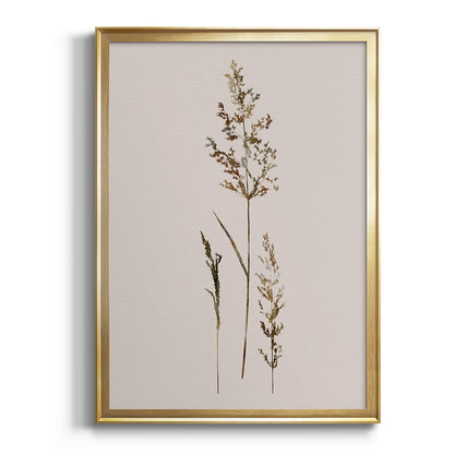 Delicate Stems II - Modern Framed Canvas Print