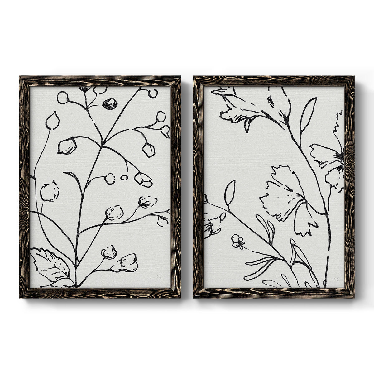 Botanical Sketch I   - Premium Framed Canvas 2 Piece Set - Ready to Hang