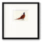 Pheasant Splash 4 Premium Framed Print Double Matboard