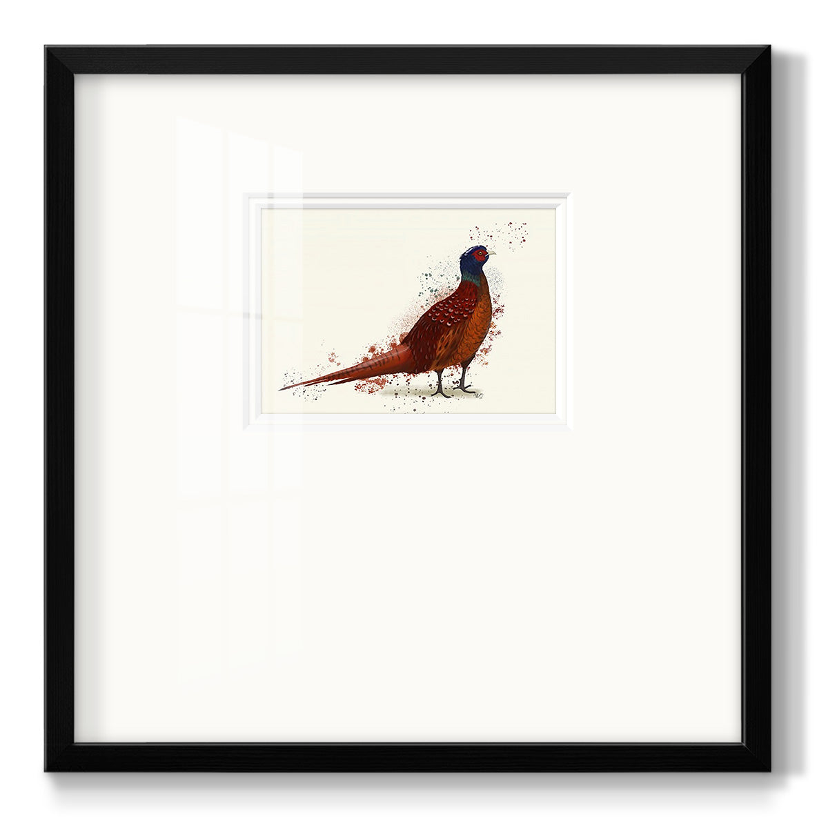 Pheasant Splash 4 Premium Framed Print Double Matboard