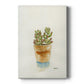 Succulent III - Canvas Art Print