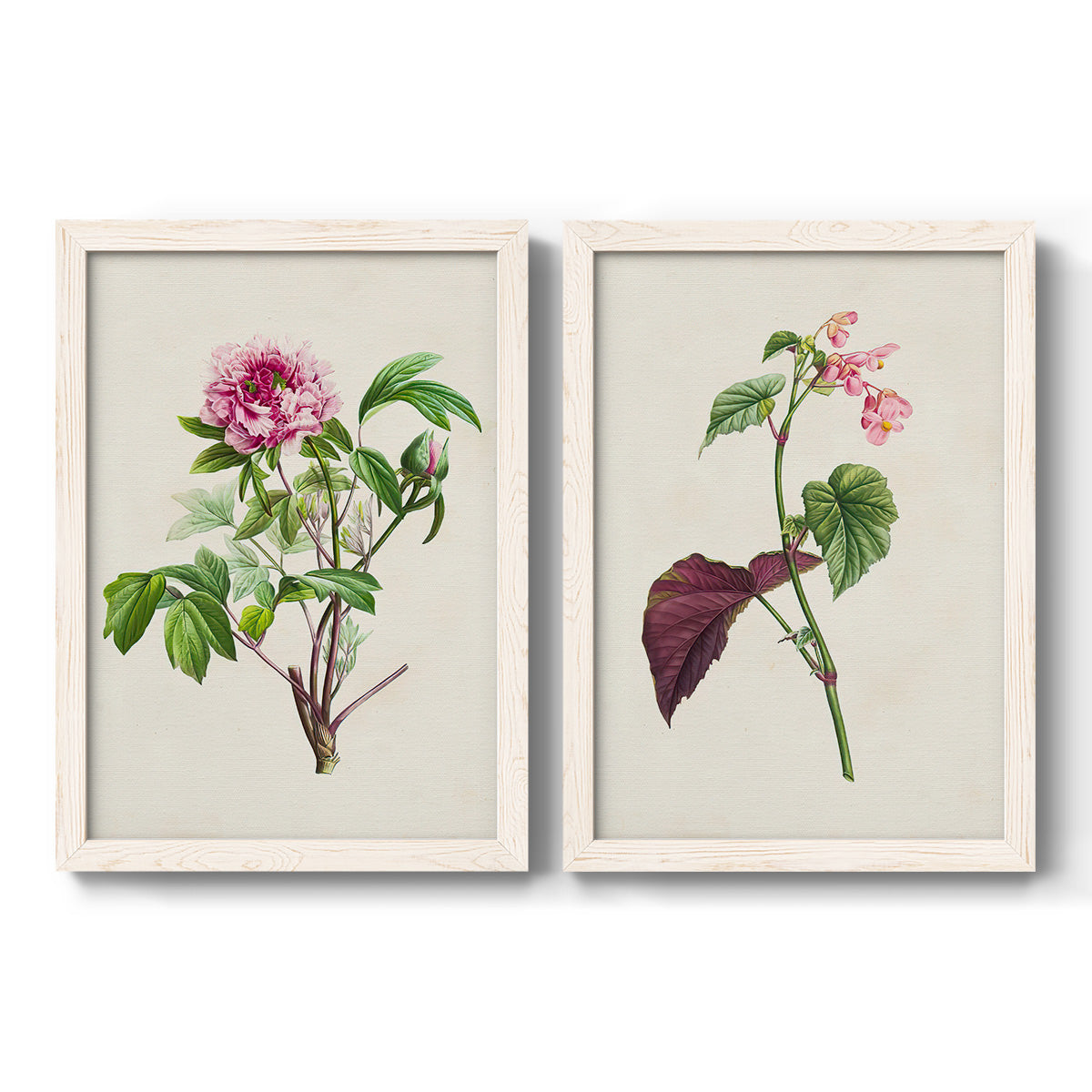 Pretty Pink Botanicals V - Premium Framed Canvas 2 Piece Set - Ready to Hang