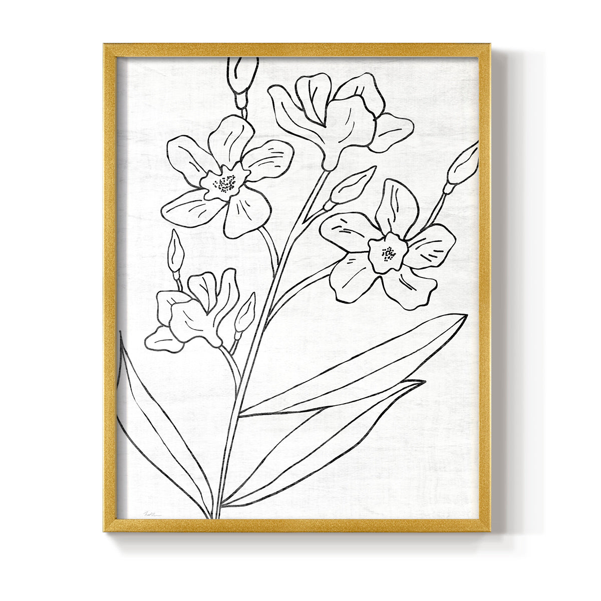 Botanical Sketch I - Restickable Framed Art Print