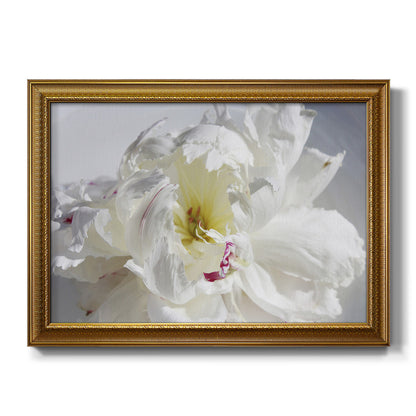 Breathless IV - Ornate Framed Canvas Print