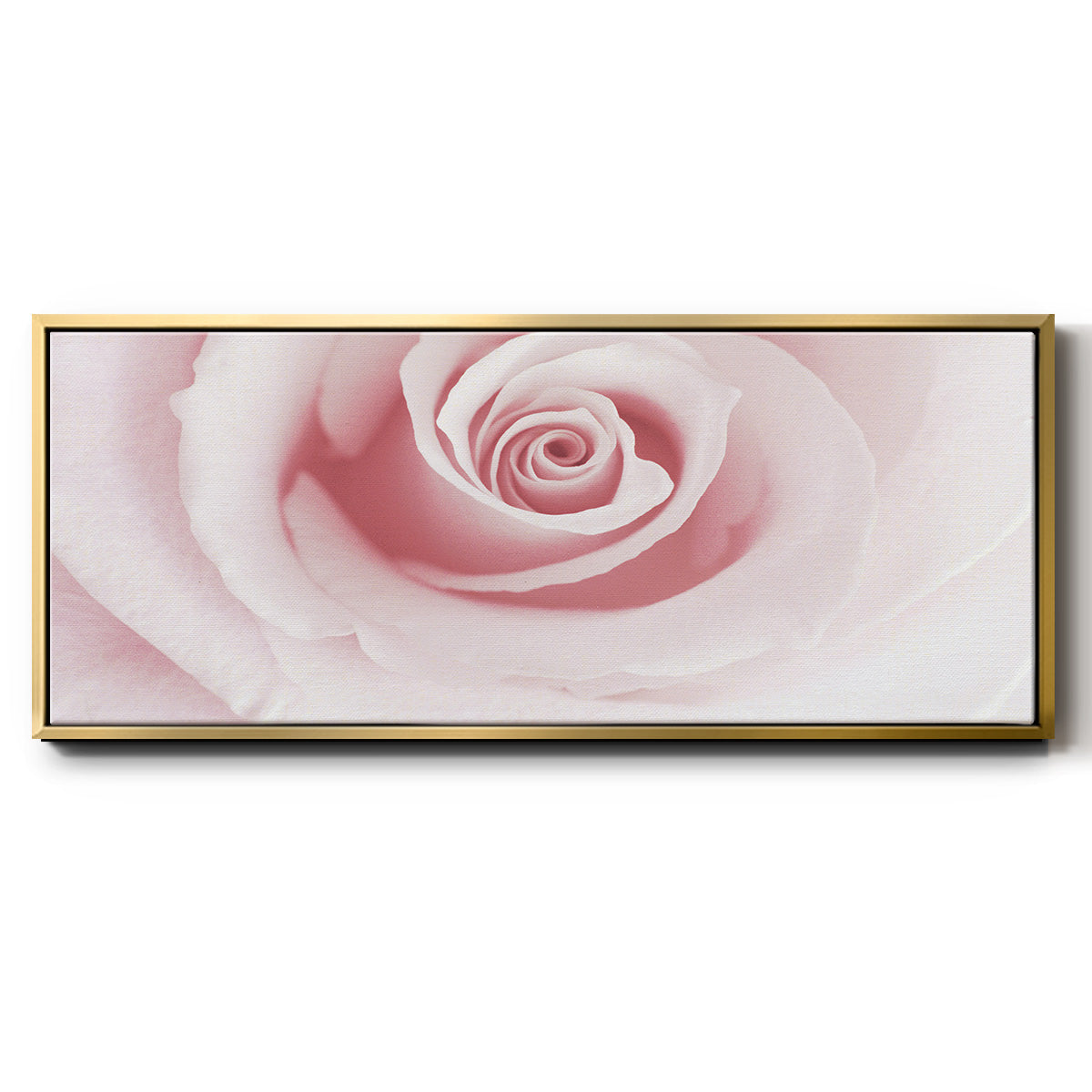 Rose Embrace - Floater Framed Canvas Print