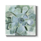 Verdant Succulent III-Premium Gallery Wrapped Canvas - Ready to Hang