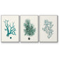 Antique Coastal Coral IV - Framed Premium Gallery Wrapped Canvas L Frame 3 Piece Set - Ready to Hang