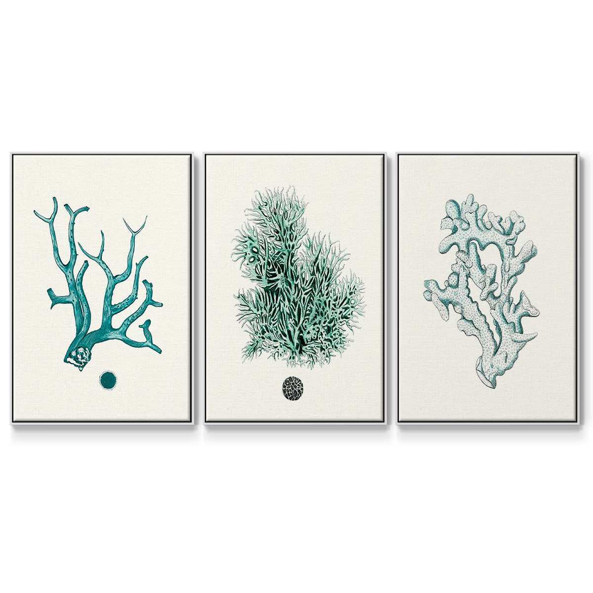 Antique Coastal Coral IV - Framed Premium Gallery Wrapped Canvas L Frame 3 Piece Set - Ready to Hang