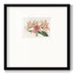 Amaryllis Varietals I - Double Matboard Framed Print
