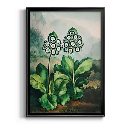 Temple of Flora XI - Modern Framed Canvas Print
