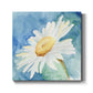 Daisy Sunshine I - Canvas Art Print