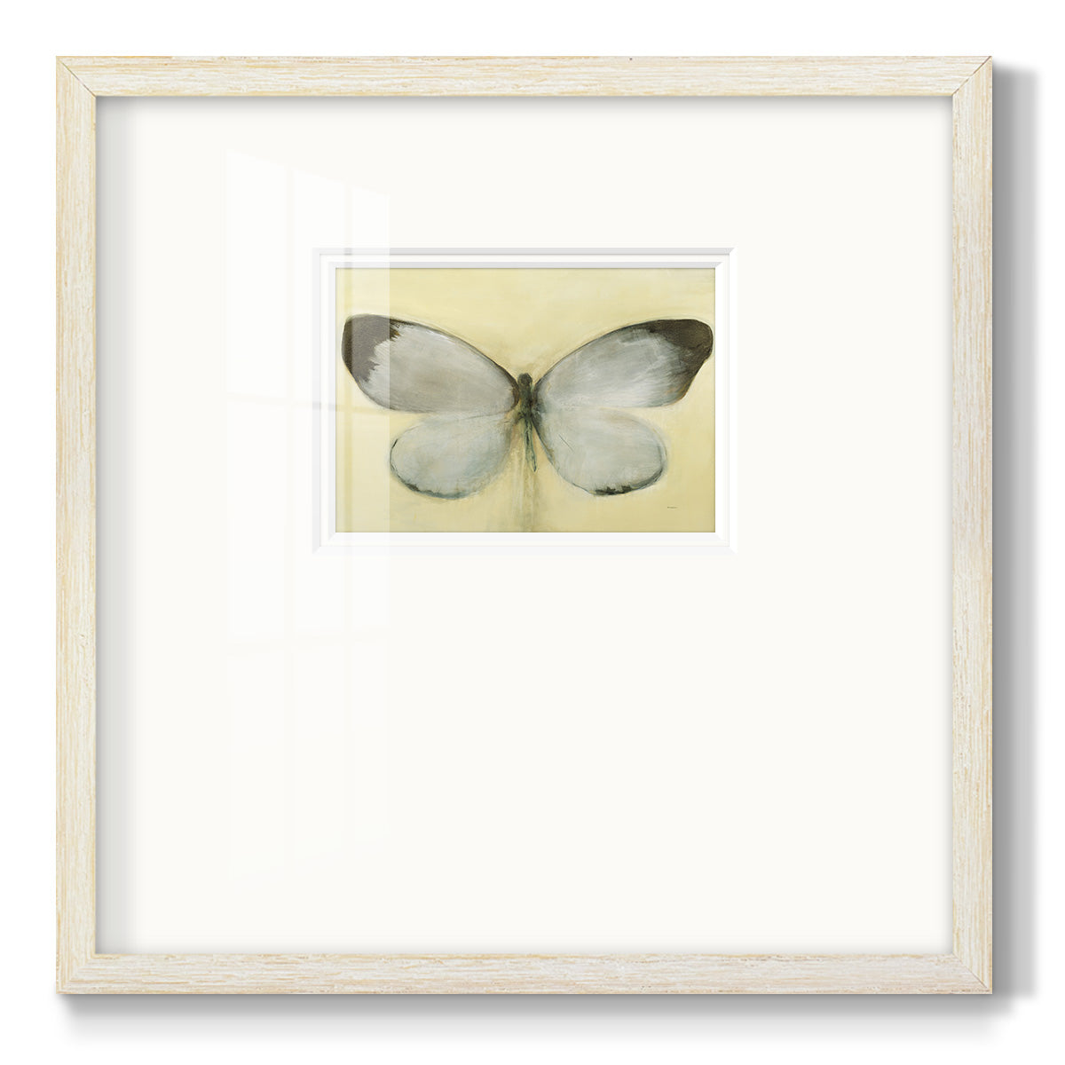 Chrysalis- Premium Framed Print Double Matboard