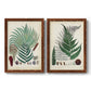 Set of two maple barnwood framed canvas prints featuring two natural-history fern plates featuring vintage fern specimens with botanical details.