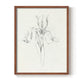 Neutral Iris Sketch I - Restickable Framed Art Print