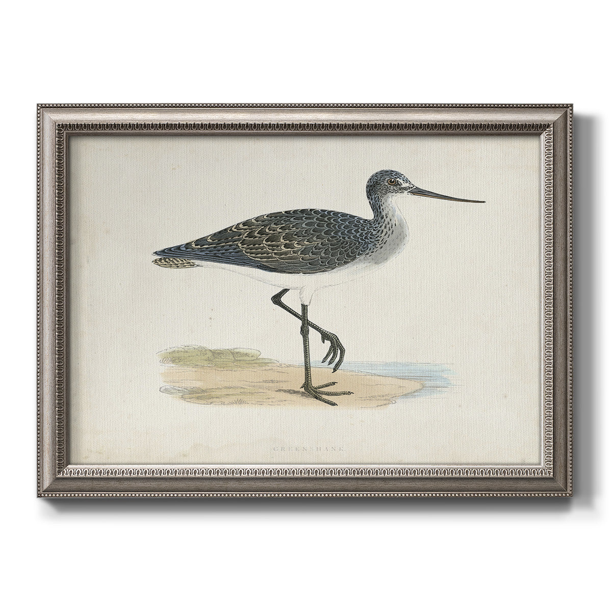 Morris Sandpipers III Premium Framed Canvas- Ready to Hang