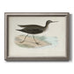 Morris Sandpipers VII Premium Framed Canvas- Ready to Hang