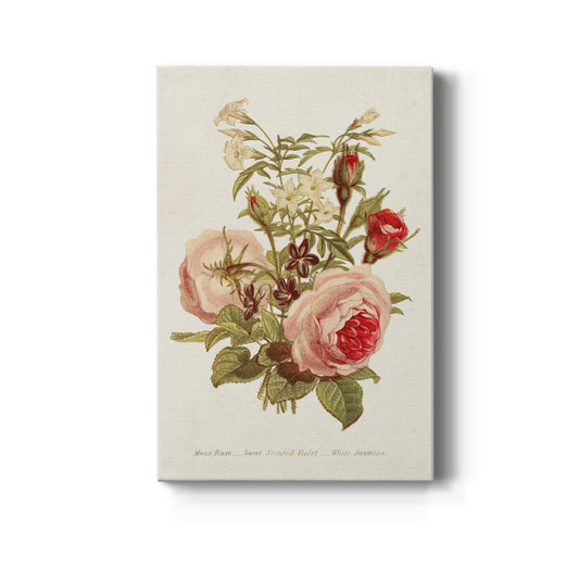 Antique Floral Bouquet III Premium Gallery Wrapped Canvas - Ready to Hang