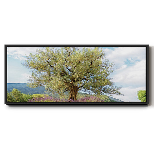 Olive Tree and Lavender - Floater Framed Canvas Print
