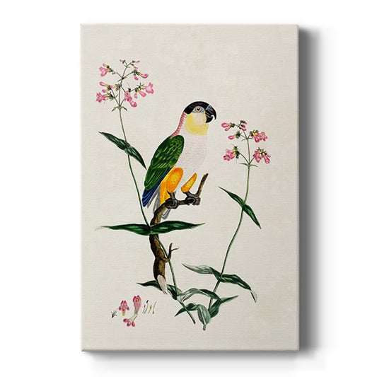 Bird in Habitat IV - Canvas Art Print