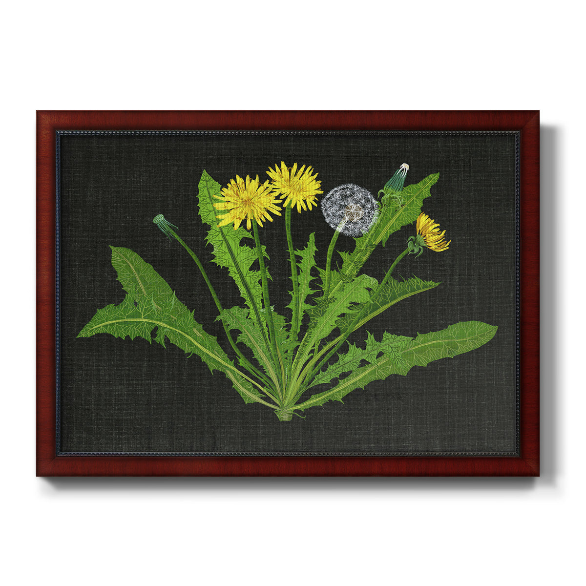 Wild Dandelion II Premium Framed Canvas- Ready to Hang