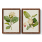 Magnolia Flowers I - Premium Framed Canvas 2 Piece Set - Ready to Hang