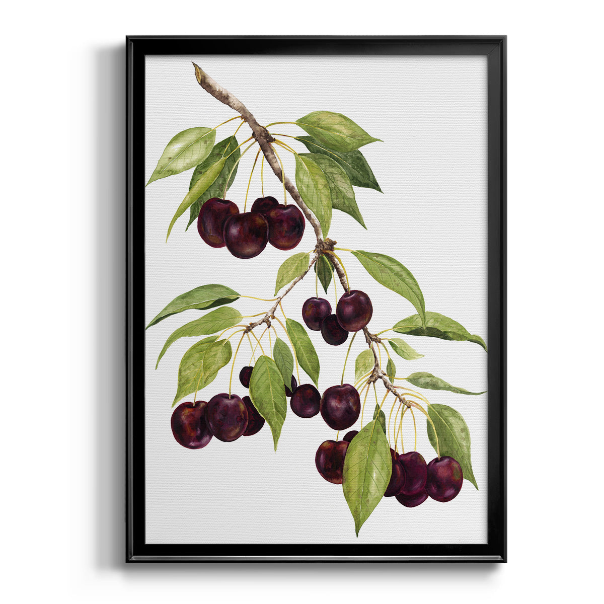 Watercolor Cherries - Modern Framed Canvas Print