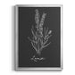 Scent Garden II - Modern Framed Canvas Print