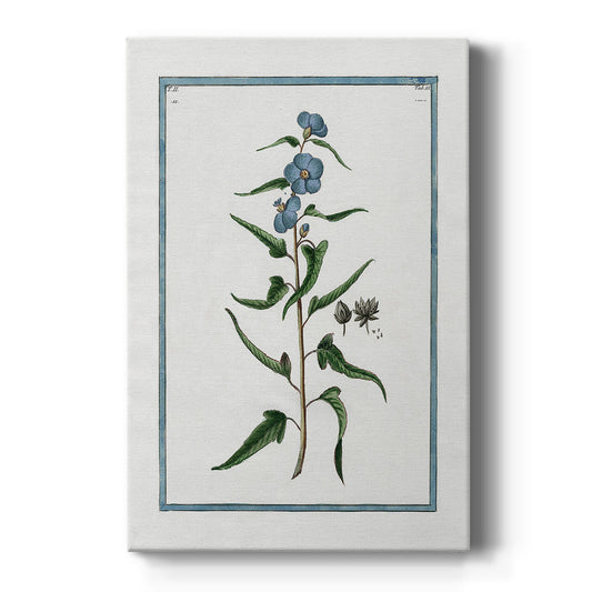 Shabby Chic Botanical I Premium Gallery Wrapped Canvas - Ready to Hang