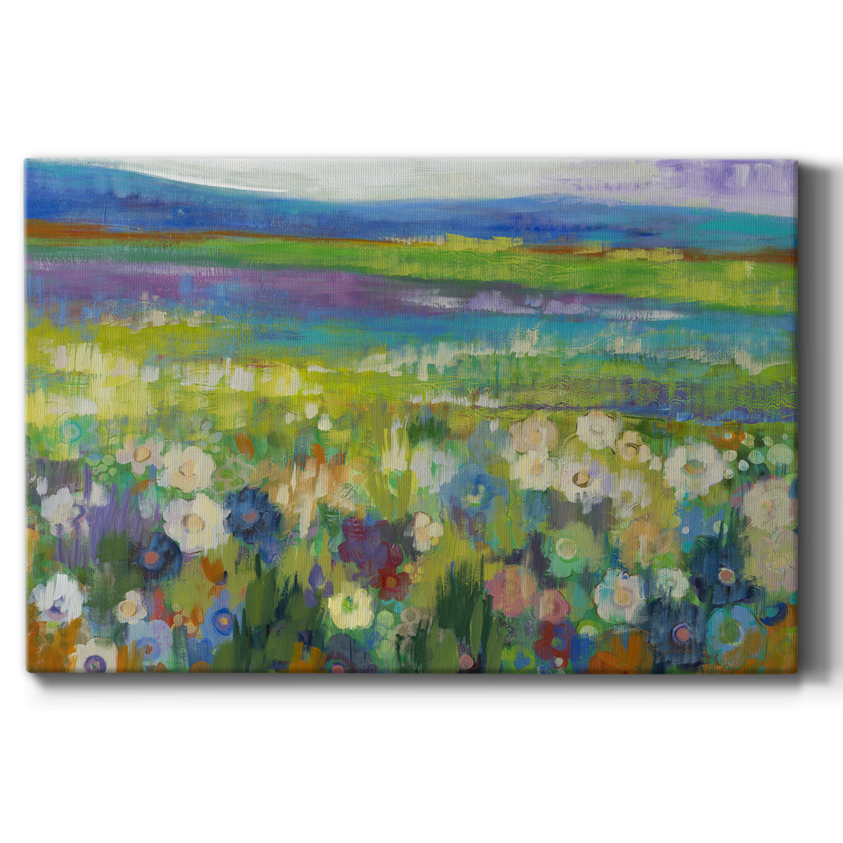 Flowerfields Premium Gallery Wrapped Canvas - Ready to Hang