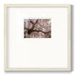 Spring's Arrival - Double Matboard Framed Print
