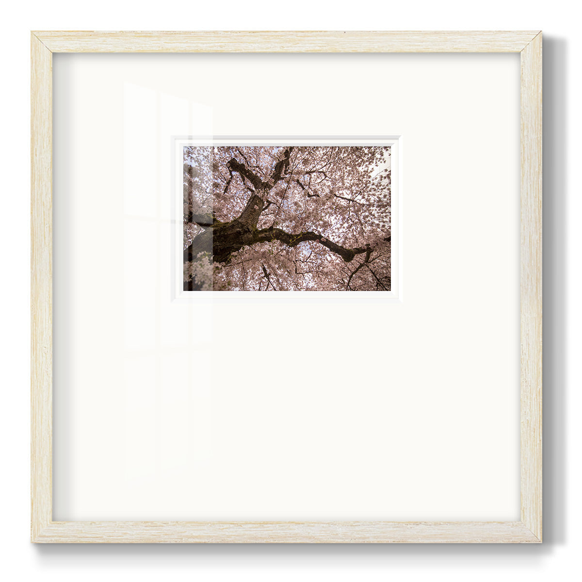 Spring's Arrival - Double Matboard Framed Print