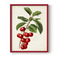 Antique Fruit II - Restickable Framed Art Print