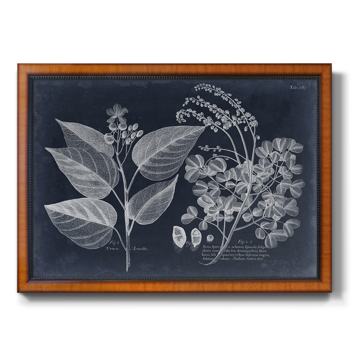 Foliage on Navy III Premium Framed Canvas- Ready to Hang