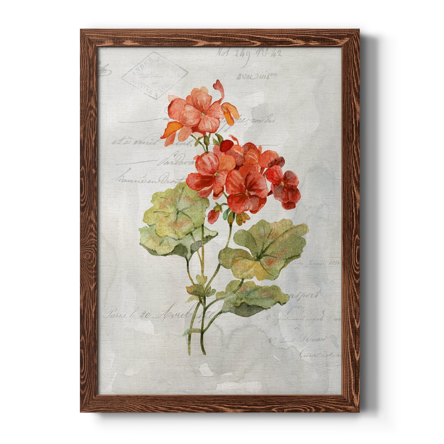 Linen Geranium - Barnwood Framed Canvas Print