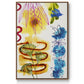 Flower Power II - Floater Framed Canvas Print