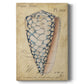 Seashell Ephemera IV Premium Gallery Wrapped Canvas - Ready to Hang