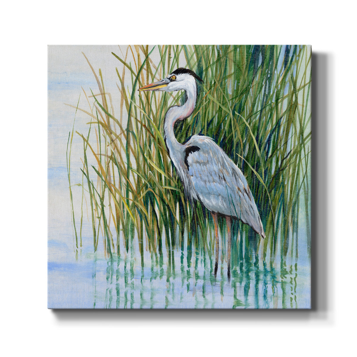 Heron in the Marsh II - Canvas Art Print