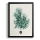 Antique Coastal Coral V - Modern Framed Canvas Print