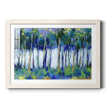 Light Through the Trees - Barnwood Framed Art Print