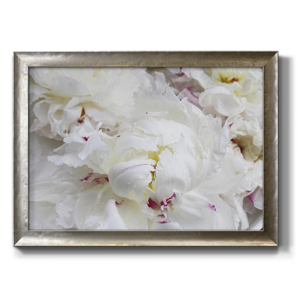 Breathless VI - Ornate Framed Canvas Print