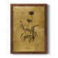 Gold Sketch Botanical I - Barnwood Framed Canvas Print